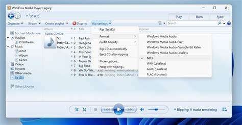 Why Does My Ripped CD Have Messed Up Track Names? and Why Is One Track Missing?