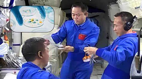 Scientists Find New Space-Adapted Bacteria Aboard Tiangong Space Station