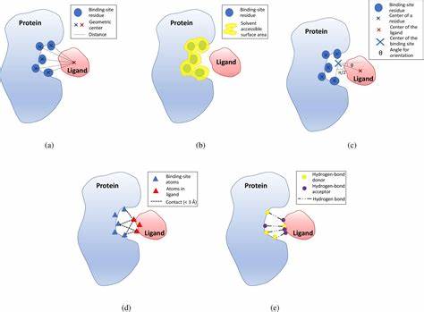 Boltz-2 for predicting ligand/protein binding affinity