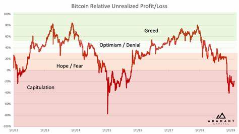 Investor Sentiment Behind Crypto Gains and Losses—Is Next Bitcoin Crash Already Written? - CCN.com