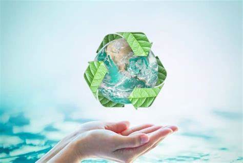 Can you meaningfully measure how environmentally friendly a website is?