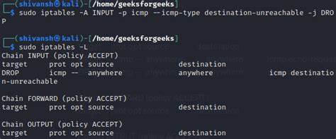 Should I Block ICMP?