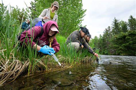 Hunting extreme microbes that redefine the limits of life