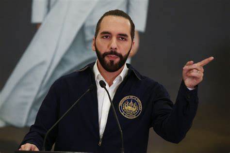 El Salvador's President Nayib Bukele to buy one Bitcoin every day - Forbes India