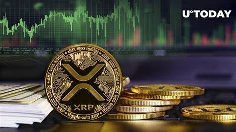 XRP News Today: Active XRP Wallets Soar as Traders Eye Final SEC Ruling; BTC at $93k