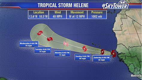 MarineMax falls after warning on financial impact from Hurricane Helene
