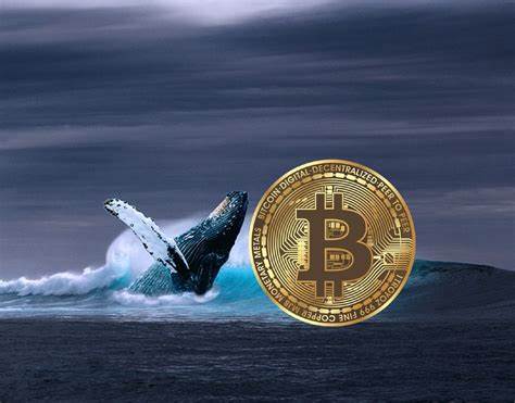 Bitcoin whales accumulate over 20k BTC in just two days - CryptoSlate