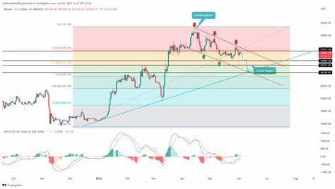 Bitcoin Price Analysis: BTC hit a Low of $25k Last Month. Will it dip lower? - Coinfomania