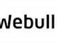 Webull Corp reports Q1 EPS (6c) vs. ($7.98) last year