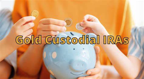 ‘Focus on Retirement’: Crypto Custodian Rolls Out Hybrid IRA Offering