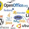 The two types of open source