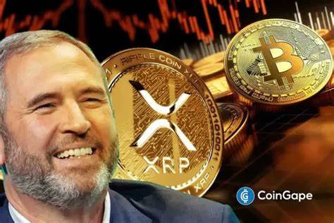 XRP Lawyer Hails Ripple CEO, Reveals What Attracts Him To Bitcoin & Crypto