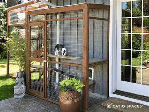 What Is a Catio? (2019)