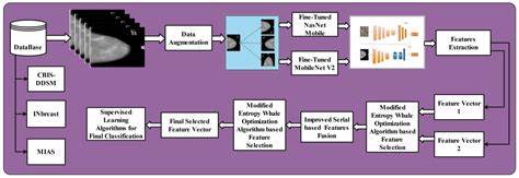 Show HN: Free mammogram analysis tool combining deep learning and vision LLM