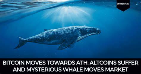 Bitcoin vs. altcoins – Whale interest, market sentiment, and more… - AMBCrypto News