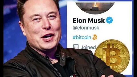 Musk, memecoins, and the crypto market: Elon Musk to reshape crypto and FinTech?