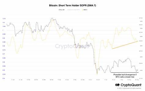 Long-Term Holders Bet on Bitcoin’s Future, Unfazed by Selling Pressure - CryptoPotato