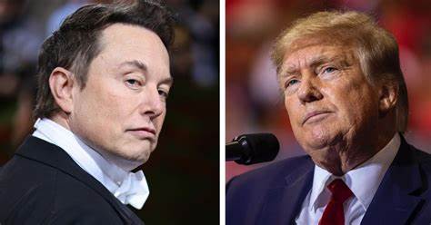Trump commits to Elon Musk-pitched government efficiency commission