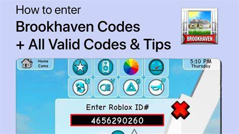 Brookhaven codes