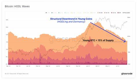 Bitcoin Showing ‘Powerful Signal for the Bulls,’ According to Blockchain Analytics Firm Glassnode - The Daily Hodl