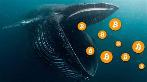 Bitcoin falls below $60,000 because crypto whales are dumping it - Quartz