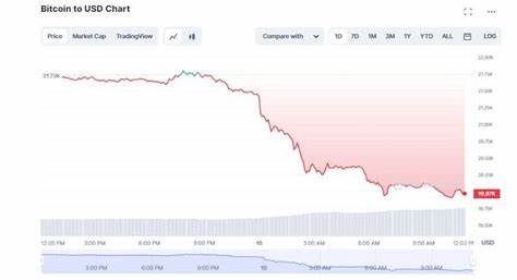 Cryptocurrency Market Tanks As Bitcoin Hits 3-Week Low Amid Trump's Tariff Annoucements - International Business Times AU