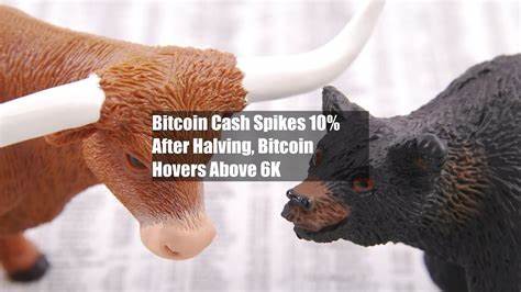 Bitcoin Cash Spikes 10% After Halving, Bitcoin Hovers Above $66K - CoinDesk