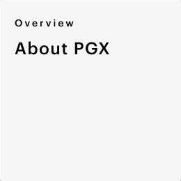 Invesco Preferred ETF (PGX)