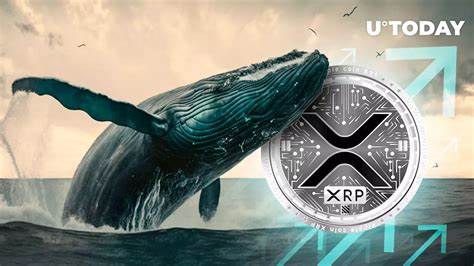 XRP Ledger Activity Surges 7x as Ripple Whale Wallets Reach Record High