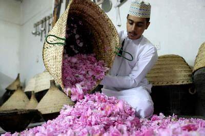 The economic impact of Oman's rose season