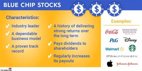 Here Is My Top Blue Chip Stock to Buy Now