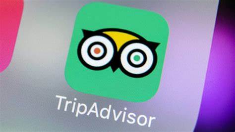 8% of the reviews submitted to Tripadvisor in 2024 were fake