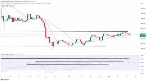 Bitcoin and Ethereum average Gas Fees decline by 95% - Nairametrics