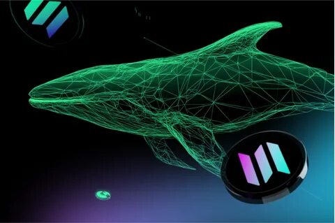 Even If Solana (SOL) Hits $500 This Cycle, It Won’t Come Close to Matching These Altcoins for Gains - CryptoDaily