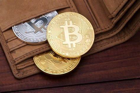 Bitcoin-Wallet aus der Satoshi-Ära wird nach 10 Jahren reaktiviert, da Bitcoin 65.000 US-Dollar erreicht – Blockonomi – Crypto News BTC – Crypto News BTC
