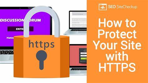 Ask HN: Why isn't HTTPS enough to protect your site?