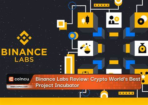 This Binance Labs-Backed Crypto Startup Wants to Anonymize Everything - CoinDesk