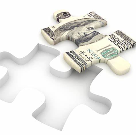 DLL reports 7% portfolio growth in 2024 amid challenges in Latin America