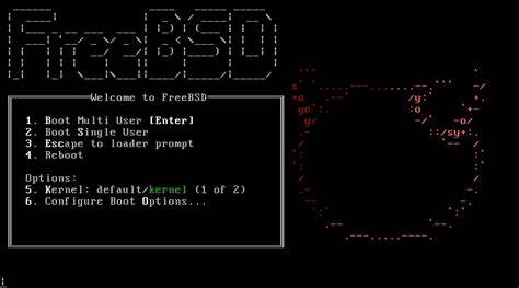 Ask HN: Laptop Recommendations (FreeBSD / OpenBSD)