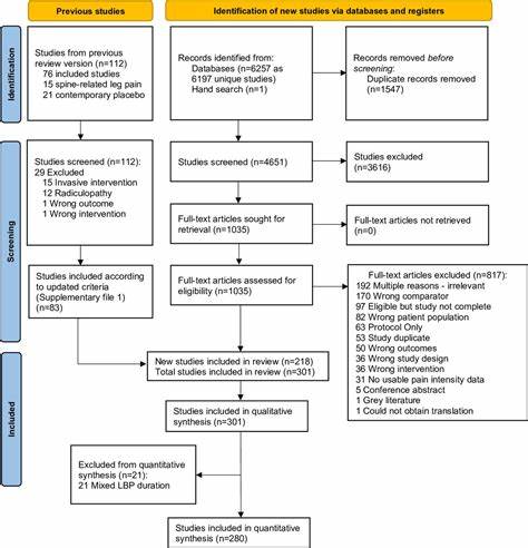 Analgesic effects of non-surgical&non-interventional treatment for low back pain