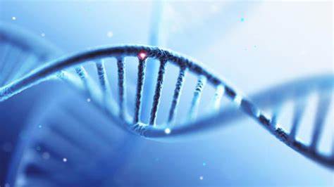 The U.S. Can't Afford to Lose the Biotech Race with China