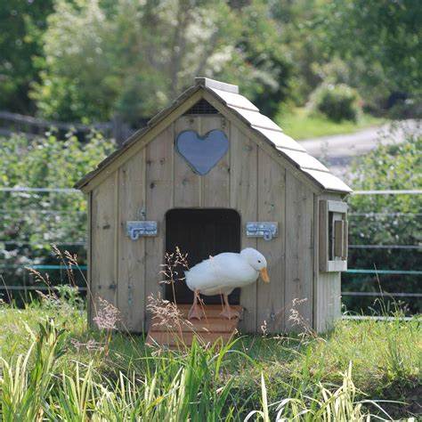 DuckHouse