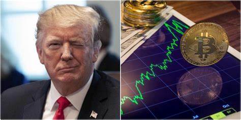 Watch: Trump Completes 'Historic' Bitcoin Transaction to Buy Burgers for Packed Bar - MSN