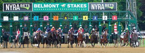 Daily – Vickers Top Insider Picks for 05/29/2025