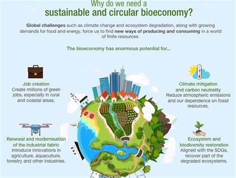 India's bioeconomy crosses $150-billion mark: Report