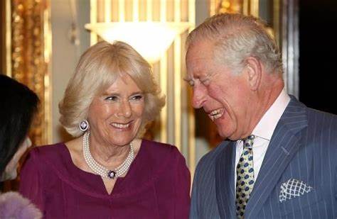Camilla, Prince Charles Turn Red-Faced After Being Asked This Awkward Question - International Business Times