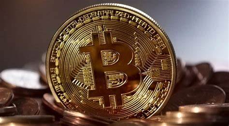 My nightmare trip to Bitcoin hell and back - MoneySense