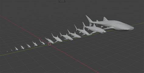 Size matters: Sharks follow two-thirds scaling law, proving theory