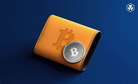 What Is A Bitcoin Wallet?