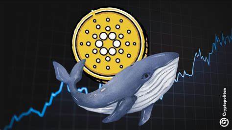 New Pay-Fi Sensation To Surpass Cardano And Tron As Whale Activity Hits Record Highs